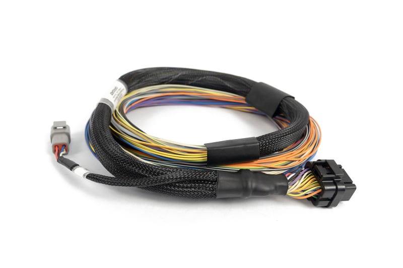 MSA Haltech Nexus T1 K Series ECU Package Bundle W/Wideband & MSA Custom Harness