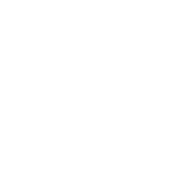 Mad Scientist Auto