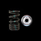 Brian Crower Honda/Acura K20A/K20Z F20C/F22C-Race/LTD Street Dual Spring & Titanium Retainer Kit