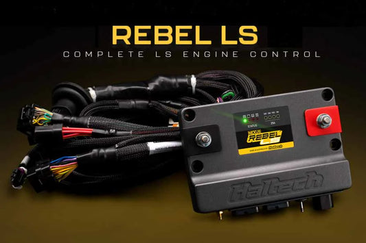 Haltech Rebel LS